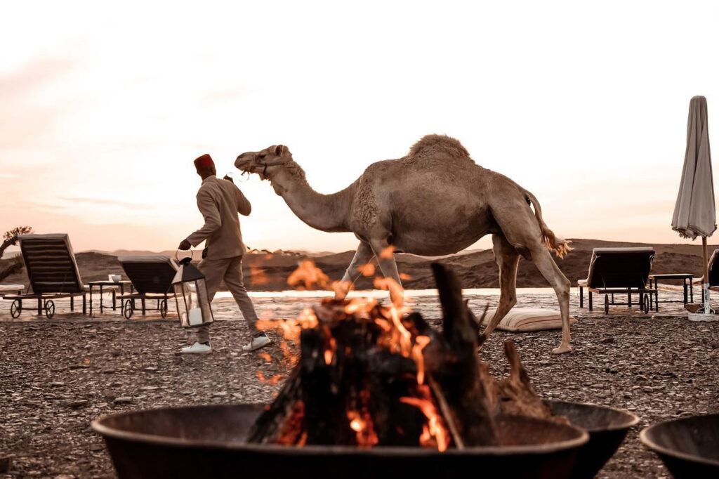 White Camel Agafay Desert